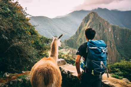 Machu Picchu with Charity Challenge, plus Llama