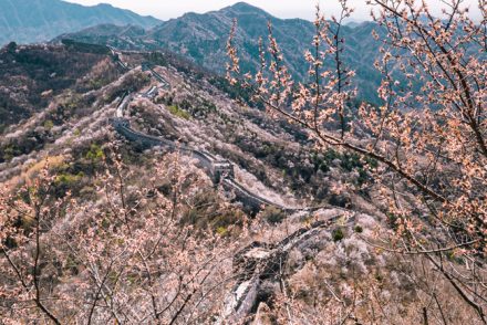 Great Wall Trek