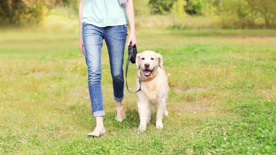 How to fundraise when you are social distancing?