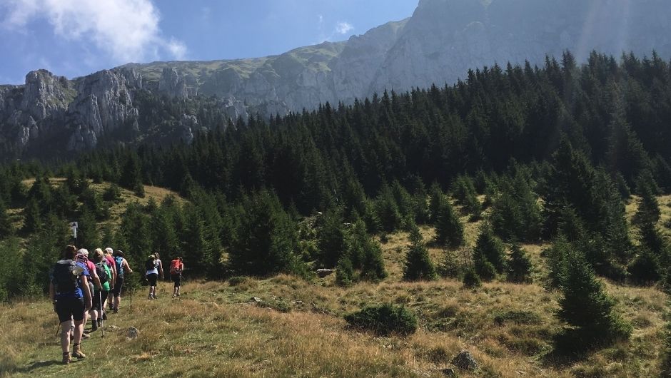 Trek Transylvania 