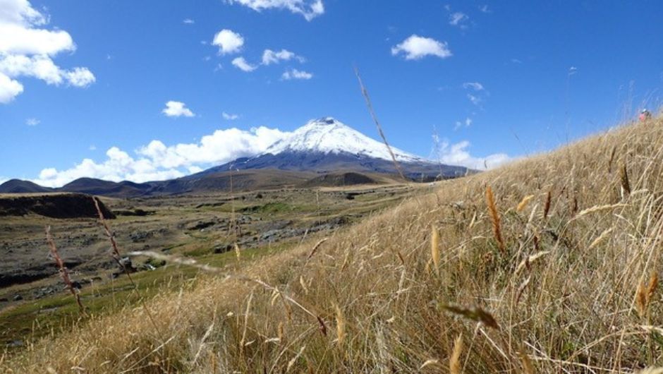 Andean Volcano Challenge