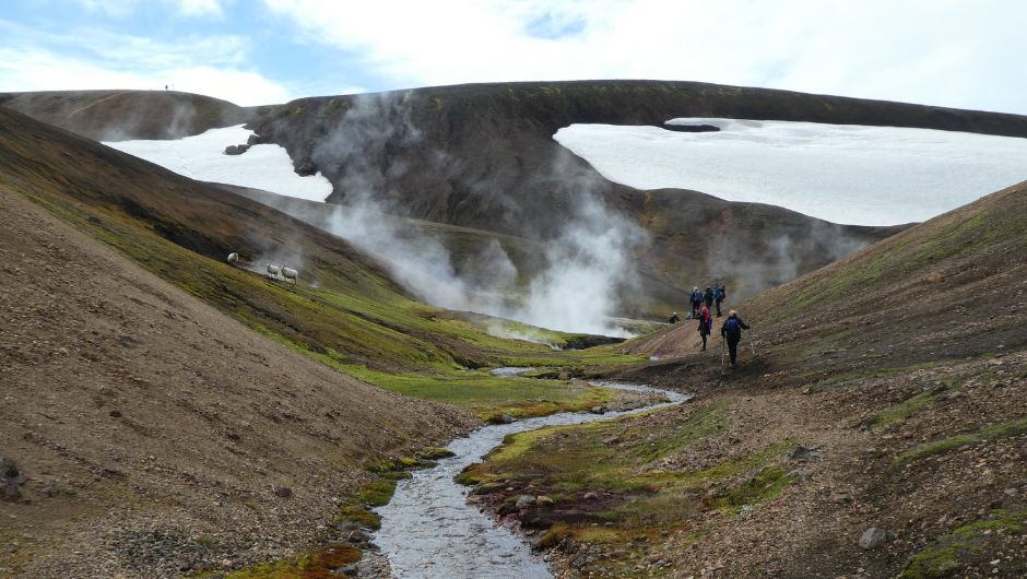 A group of trekkers walking beside steaming lava fields in Iceland