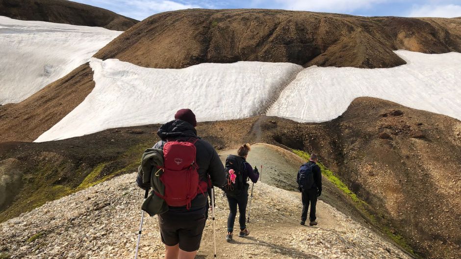 Charity challengers trekking Iceland with walking poles
