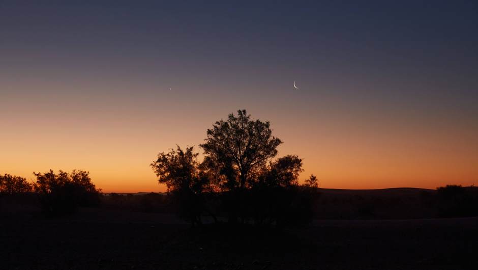 the evening sky and stars on the sahara desert trek