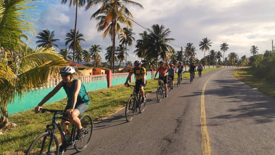 A line of cyclists riding on a road through Cuba that's lined with palm trees, set next to a bright turquoise wall and colourful houses.