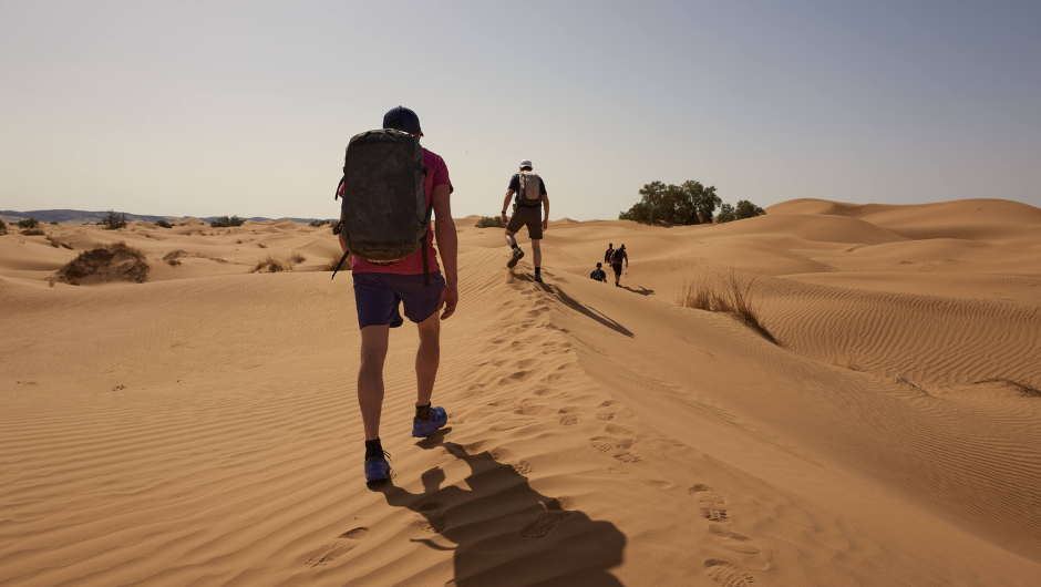 A trekker walking along a sand dune in the sahara desert, under a clear blue sky.