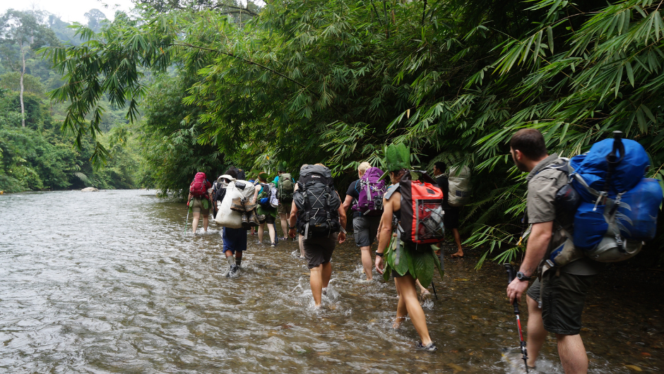A group of trekkers wading through a shallow river in the Sumatra Jungle, next to a wall of lush green rainforest.