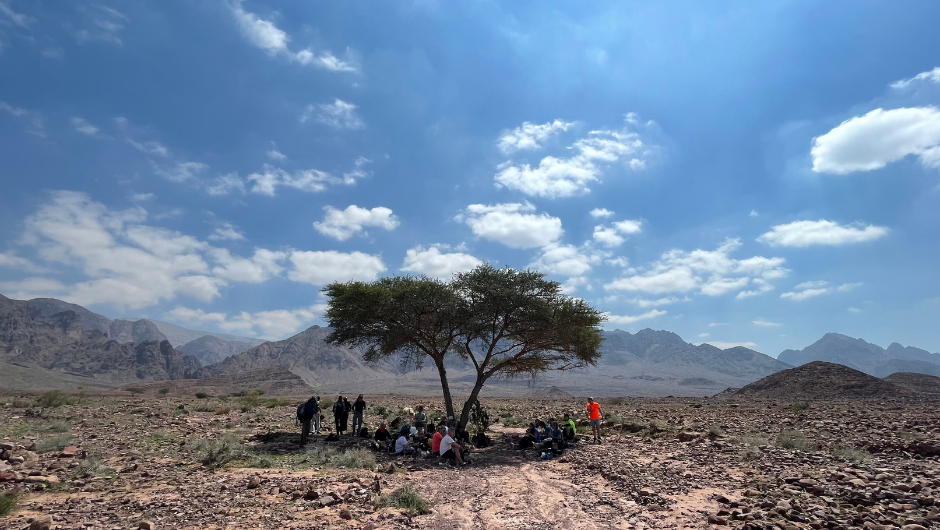 A group of trekkers taking shade under a tree in the vast Jordan desert during their Trek to Petra challenge.