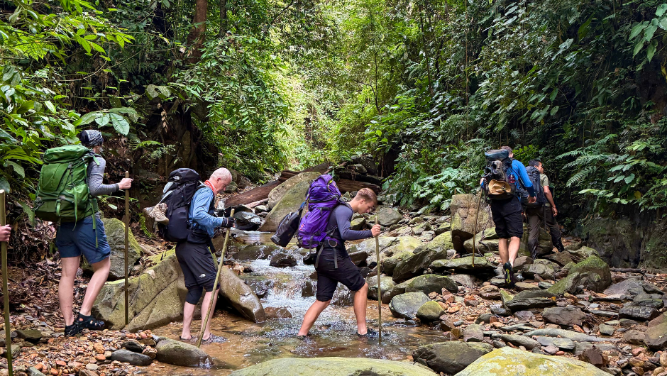 Trekkers crossing a rocky, shallow stream in the Sumatran rainforest, wearing day packs and using sticks for support.