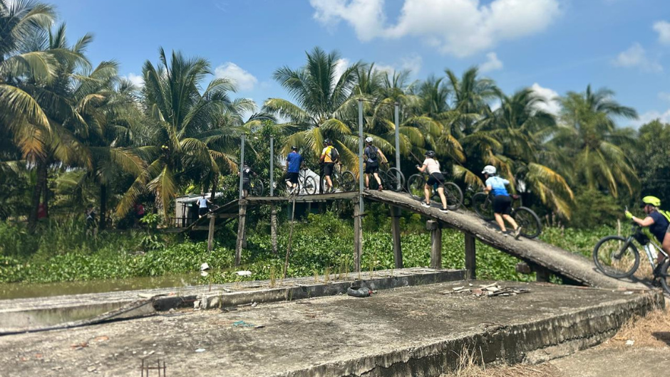 A line of cyclists pushing their bicycles up a wooden bridge, surrounded by large palm trees