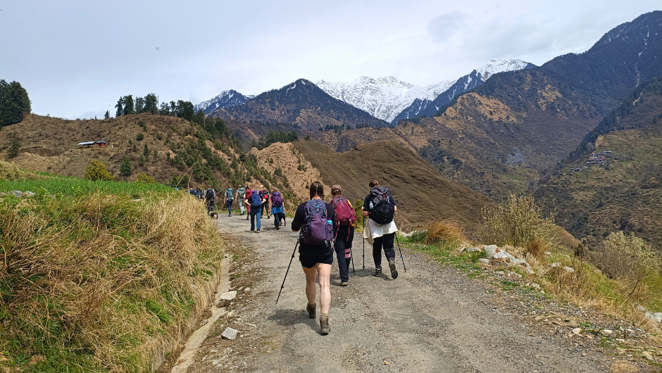 A group of trekkers walking on a pathed path through the India Himalaya.