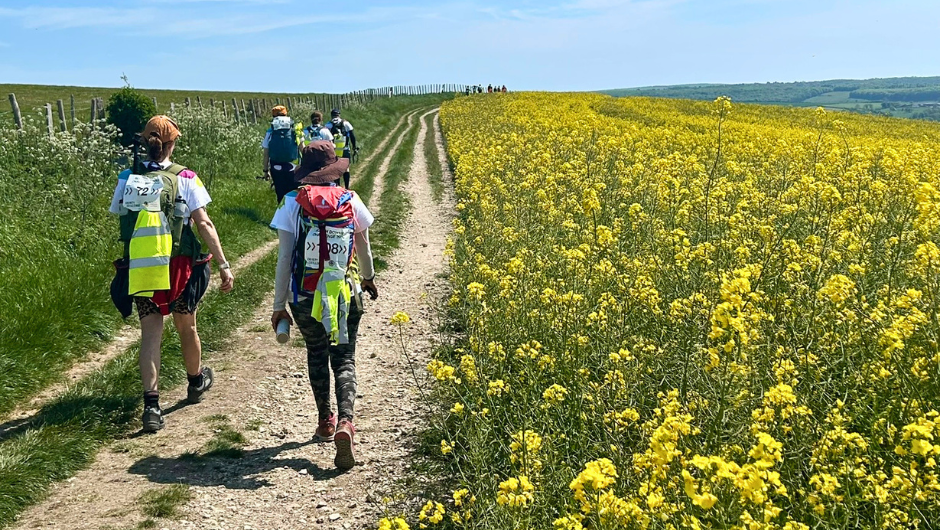 South Downs Challenge trekkers walking across a pathway, next to a field of bright yellow flowers