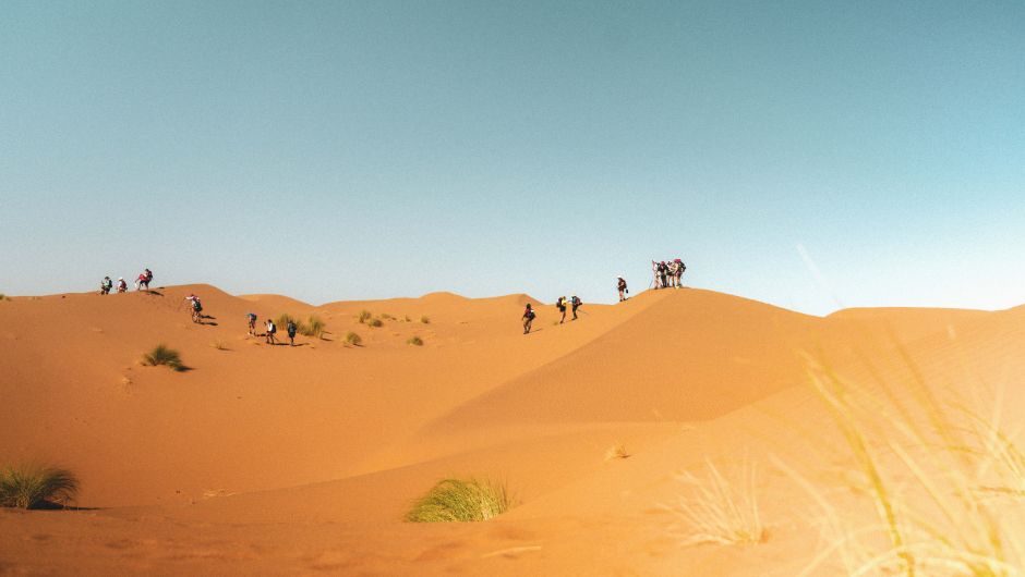 a landscape shot of sahara desert sand dunes against a blue sky, with trekkers walking along in a line