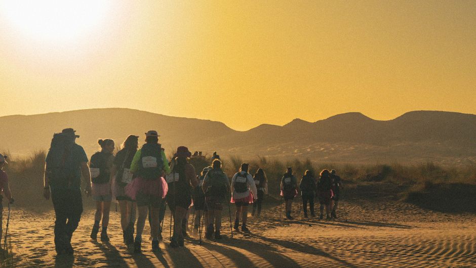a group of trekkers walking in the sahara desert near sunset
