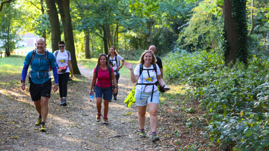 A group of trekkers walking along a sunny path in a section of woodland in the UK,
